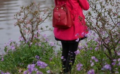 一仆二主百度影音